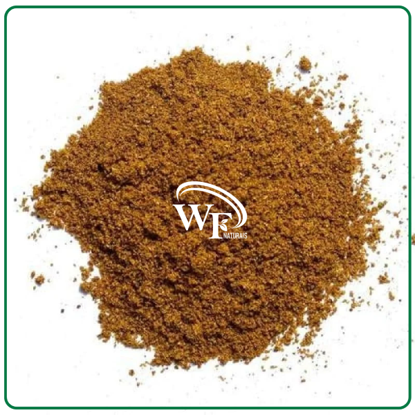 CALDO DE CARNE (EM PÓ)