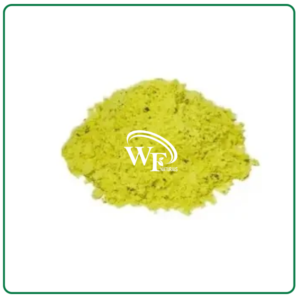 CALDO DE GALINHA (EM PÓ)