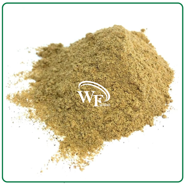 FARINHA DE BANANA VERDE