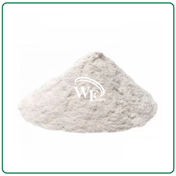 LEITE DE COCO (NÃO VEGANO)