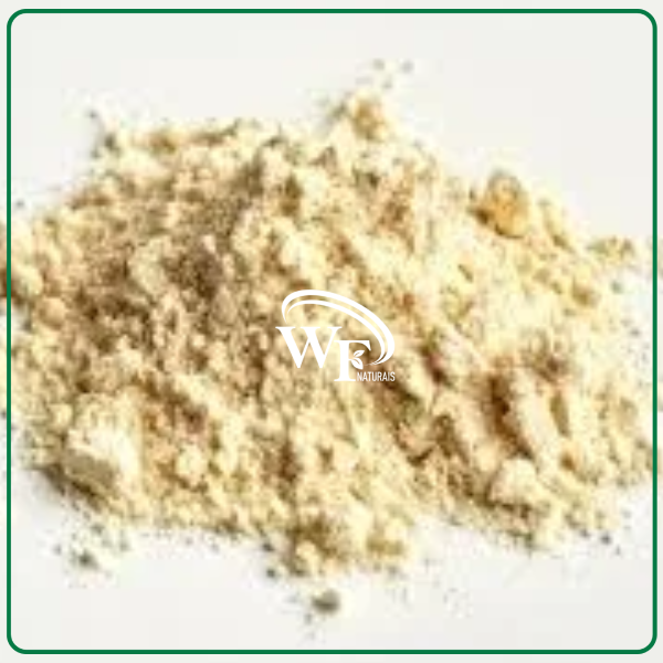 SORO DE LEITE GV E MALT