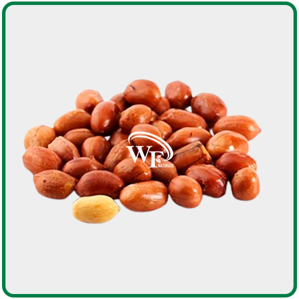 AMENDOIM FRITO COM PELE