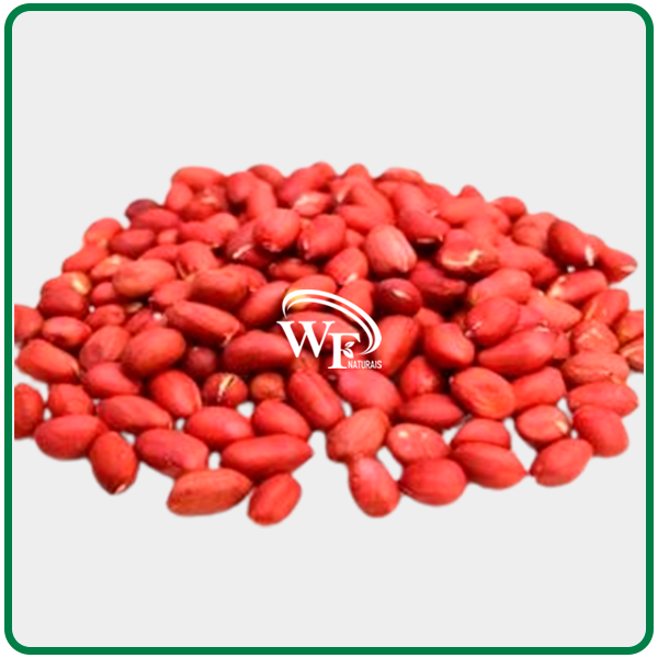 AMENDOIM CRÚ SEM CASCA