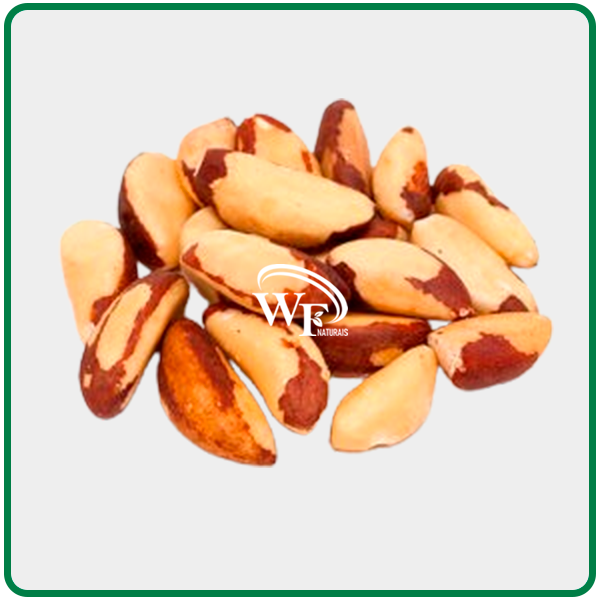 CASTANHA DO PARÁ MEDIA