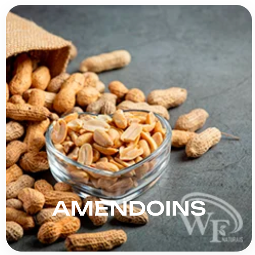 Captura de Tela 2025-10-28 às 13.23.49