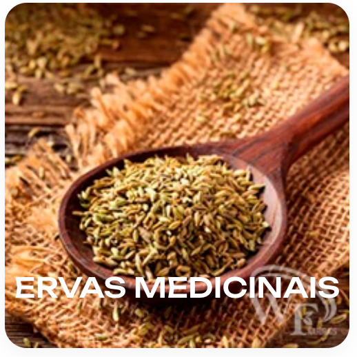 Captura de Tela 2025-10-28 às 13.24.01